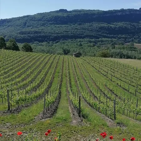 Villa Bellevue Belley